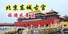 操逼对白淫语视频网中国北京-东城古宫旅游风景区
